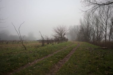 Sisin içindeki patika