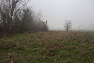 Kırsal alanda genişlet