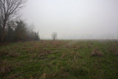 Kırsal alanda genişlet