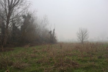 Kırsal alanda genişlet