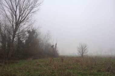 Kırsal alanda genişlet