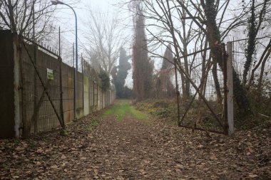 Düşen yapraklarla kaplı yol