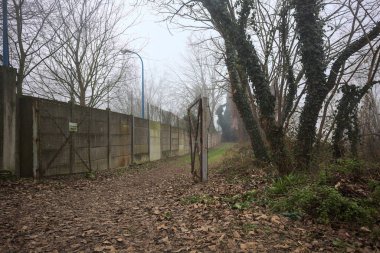 Düşen yapraklarla kaplı yol