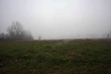 Kırsal alanda genişlet