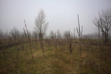 Bir açıklıkta yol sınırları