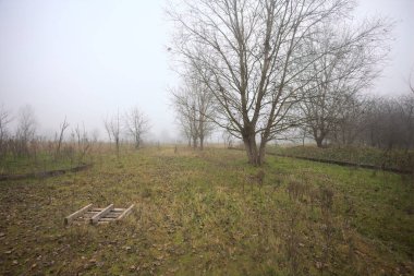 Bir açıklıkta yol sınırları