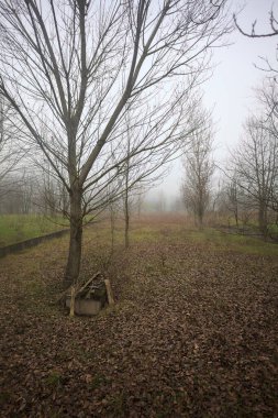 Bir açıklıkta yol sınırları