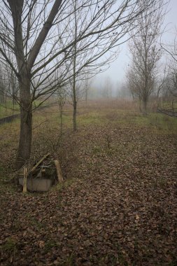 Bir açıklıkta yol sınırları