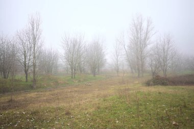 Bir açıklıkta yol sınırları
