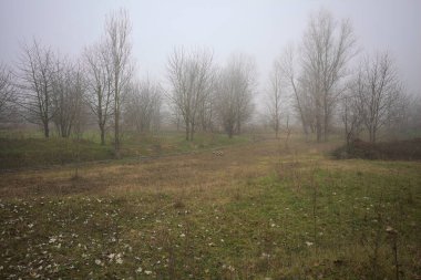 Bir açıklıkta yol sınırları