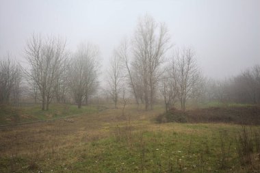 Bir açıklıkta yol sınırları