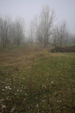 Bir açıklıkta yol sınırları