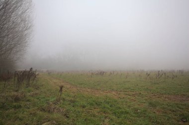 Kırsal alanda genişlet