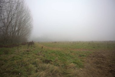 Kırsal alanda genişlet