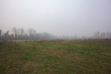 Kırsal alanda genişlet