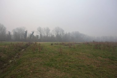 Kırsal alanda genişlet