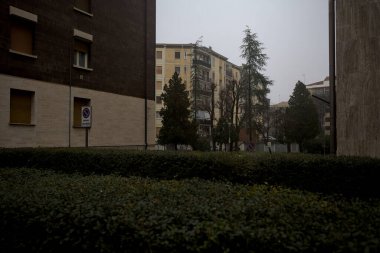 Ağaçlı apartmanların arka bahçesi