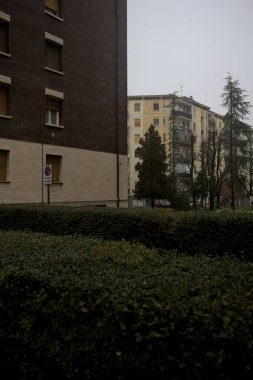 Ağaçlı apartmanların arka bahçesi