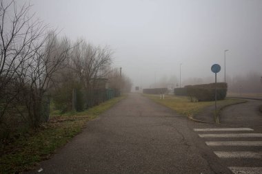 Sisli bir günde patika.