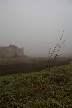 Sisin içinde terk edilmiş kır evi.