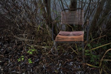 Bir ağacın altında yıpranmış sandalye