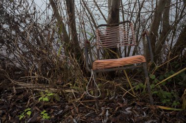 Bir ağacın altında yıpranmış sandalye