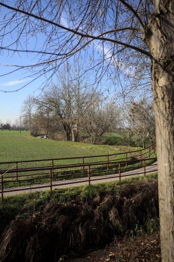 Güneşli bir günde çimen çayırı