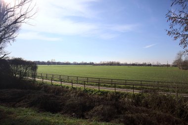 Güneşli bir günde çimen çayırı