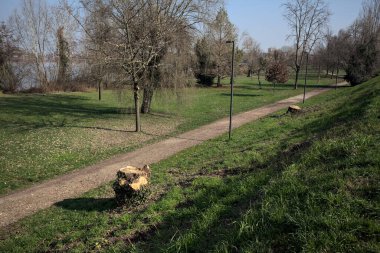 Parktaki toprak izi.
