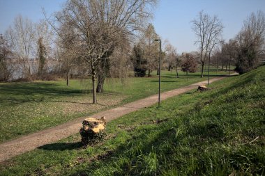 Parktaki toprak izi.