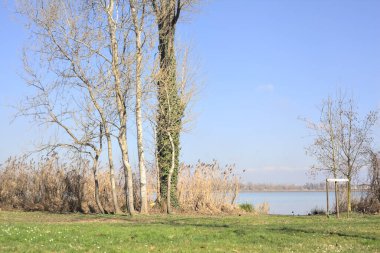 Göl kenarına park et.