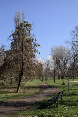 Parktaki patika.
