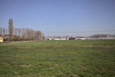 Yanı başında ağaçlar ve ufukta İtalya kırsalında bir köşk olan boş bir çayır.