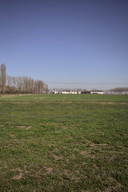 Yanı başında ağaçlar ve ufukta İtalya kırsalında bir köşk olan boş bir çayır.