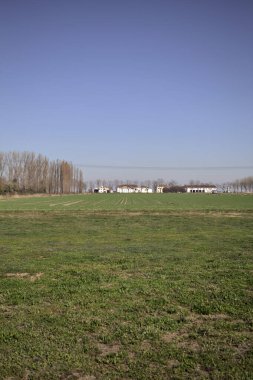 Yanı başında ağaçlar ve ufukta İtalya kırsalında bir köşk olan boş bir çayır.