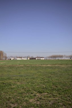 Yanı başında ağaçlar ve ufukta İtalya kırsalında bir köşk olan boş bir çayır.