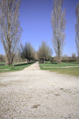 Yol, İtalya kırsalında çıplak ağaçlar ve bir sonraki çıplak kavak arasındaki parkta küçük bir meydandan başlıyor.