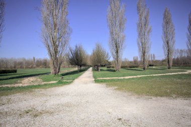 Yol, İtalya kırsalında çıplak ağaçlar ve bir sonraki çıplak kavak arasındaki parkta küçük bir meydandan başlıyor.