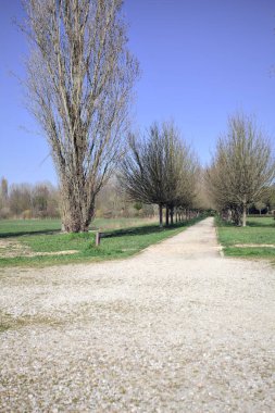 Yol, İtalya kırsalında çıplak ağaçlar ve bir sonraki çıplak kavak arasındaki parkta küçük bir meydandan başlıyor.