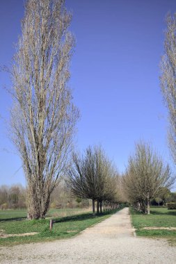 Yol, İtalya kırsalında çıplak ağaçlar ve bir sonraki çıplak kavak arasındaki parkta küçük bir meydandan başlıyor.