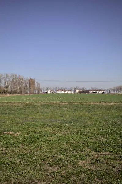 Yanı başında ağaçlar ve ufukta İtalya kırsalında bir köşk olan boş bir çayır.