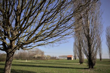 Çıplak kavak ve uzakta bir kır evi olan tuğladan bir kulübeyle benekli bir parkta çimenlik.