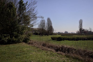 Çimenler, çalılar, çıplak ağaçlar ve arka planda bir park kulübesi.