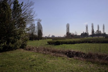 Çimenler, çalılar, çıplak ağaçlar ve arka planda bir park kulübesi.