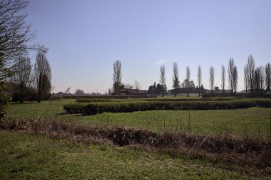 Çimenler, çalılar, çıplak ağaçlar ve arka planda bir park kulübesi.