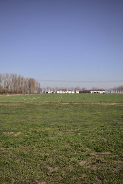 Yanı başında ağaçlar ve ufukta İtalya kırsalında bir köşk olan boş bir çayır.