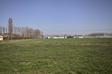 Yanı başında ağaçlar ve ufukta İtalya kırsalında bir köşk olan boş bir çayır.