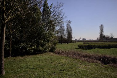 Çimenler, çalılar, çıplak ağaçlar ve arka planda bir park kulübesi.