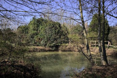 Ahşap bir çitle çevrili gölet ve sudaki bitkiler çıplak ağaçların altından görülebiliyor.