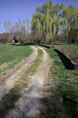 Yol bir çimenlikle sınırlıydı ve kırsaldaki bir parkta söğüt ağacıyla çiçek tarhında büyütülmüştü.